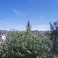 Webcam_20200910-151500