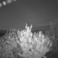 Webcam_20200910-203000