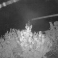 Webcam_20200910-214500