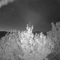 Webcam_20200911-054500