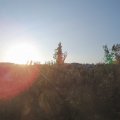 Webcam_20200911-074500