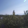 Webcam_20200911-114500
