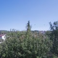 Webcam_20200911-151500