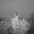 Webcam_20200911-201500