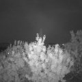 Webcam_20200911-203000