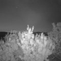 Webcam_20200912-060000