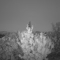 Webcam_20200912-201500