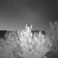 Webcam_20200913-060000