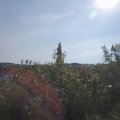 Webcam_20200913-110000
