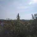 Webcam_20200913-111500
