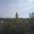 Webcam_20200913-114500
