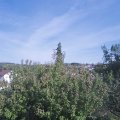 Webcam_20200913-163000