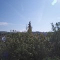 Webcam_20200914-114500
