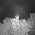 Webcam_20200915-050000