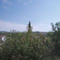 Webcam_20200915-131500