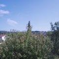 Webcam_20200915-150000