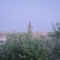 Webcam_20200915-200000
