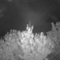 Webcam_20200915-204500