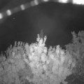 Webcam_20200916-053000