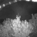 Webcam_20200916-054500