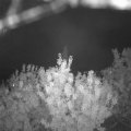 Webcam_20200916-203000