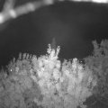 Webcam_20200916-204500