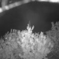 Webcam_20200916-210000
