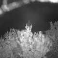 Webcam_20200916-211500