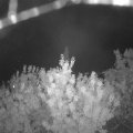 Webcam_20200916-214500