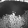 Webcam_20200917-050000
