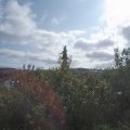Webcam_20200917-110000
