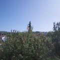 Webcam_20200917-130000