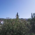 Webcam_20200917-131500