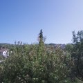 Webcam_20200917-133000