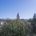 Webcam_20200917-140000