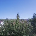 Webcam_20200917-144500