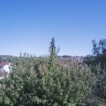 Webcam_20200917-161500