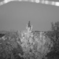 Webcam_20200917-200000
