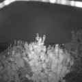 Webcam_20200917-201500