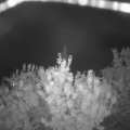 Webcam_20200917-204500