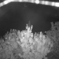 Webcam_20200917-213000