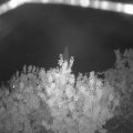 Webcam_20200917-220000