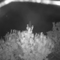 Webcam_20200918-051500