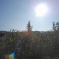 Webcam_20200918-100000
