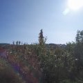 Webcam_20200918-110000