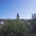 Webcam_20200918-130000