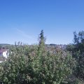Webcam_20200918-153000