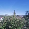 Webcam_20200918-163000