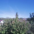 Webcam_20200918-164500