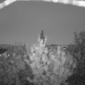 Webcam_20200918-200000